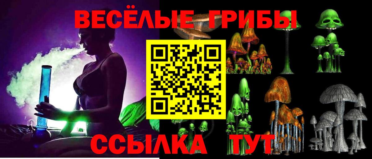 Псилоцибиновые грибы Psilocybe Приморско-Ахтарск