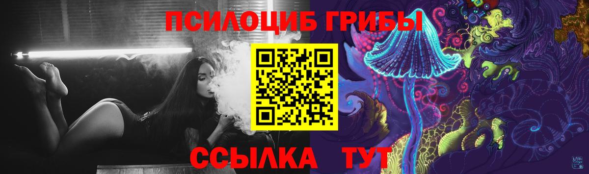 Галлюциногенные грибы GOLDEN TEACHER  Псилоцибиновые грибы GOLDEN TEACHER  Приморско-Ахтарск  Вход с VPN 